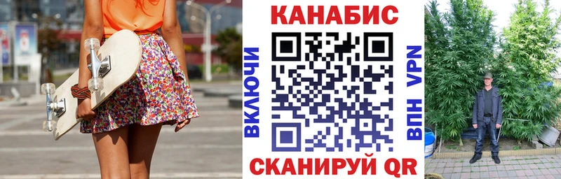 Где купить наркотики Новозыбков Псилоцибиновые грибы  Каннабис  СК  ГАШ  Меф  Cocaine 