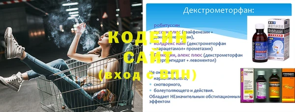 прущий лед Новозыбков