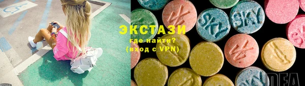 ECSTASY Гусь-Хрустальный