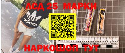 mdma Камышлов