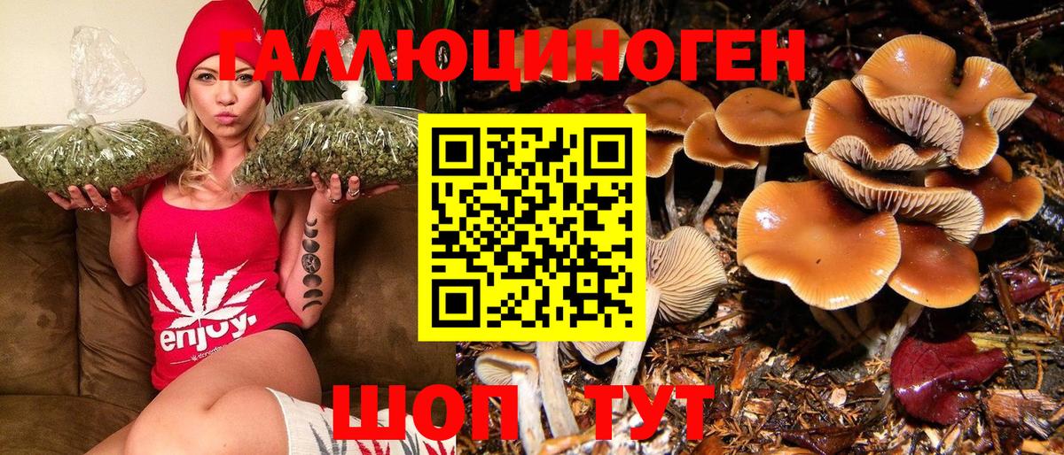 Псилоцибиновые грибы GOLDEN TEACHER  Вход с VPN  Новозыбков 