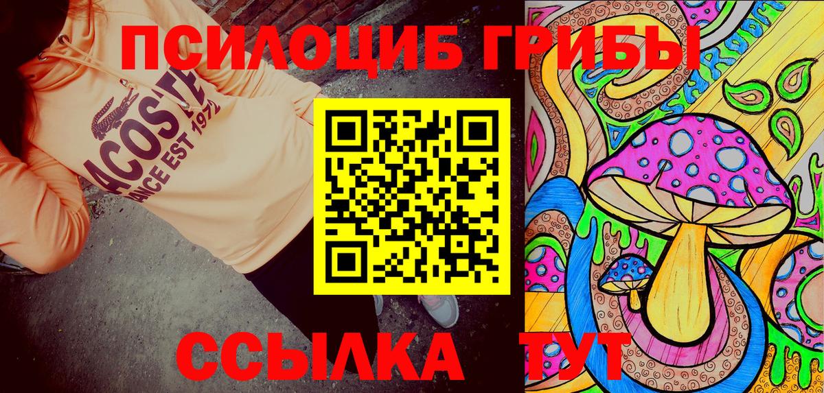 Псилоцибиновые грибы MAGIC MUSHROOMS Новозыбков